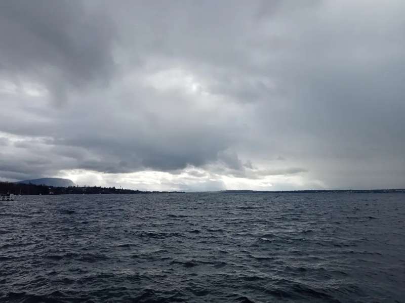 427928323 10160776571572420 7689387884133029467 n