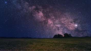Cosmos