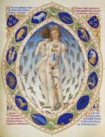 L'homme zodiacal des Tr&egrave;s riches heures