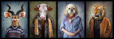 Individu et esp&egrave;ce