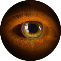 L'oeil omniscient
