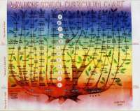 curriculum Waldorf curriculum Waldorf