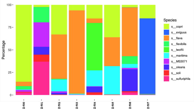 metagenomic BD prep 678x381