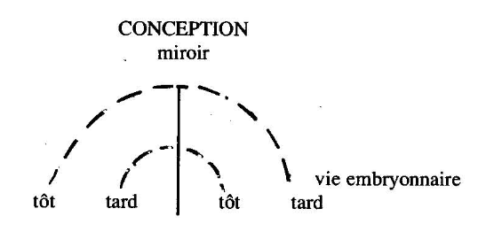 C02 Image 2