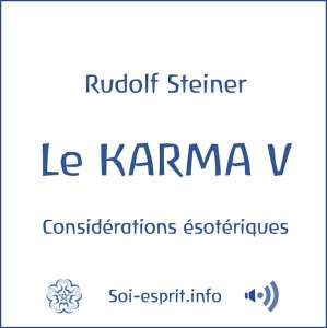 GA239 Pochette Karma 5